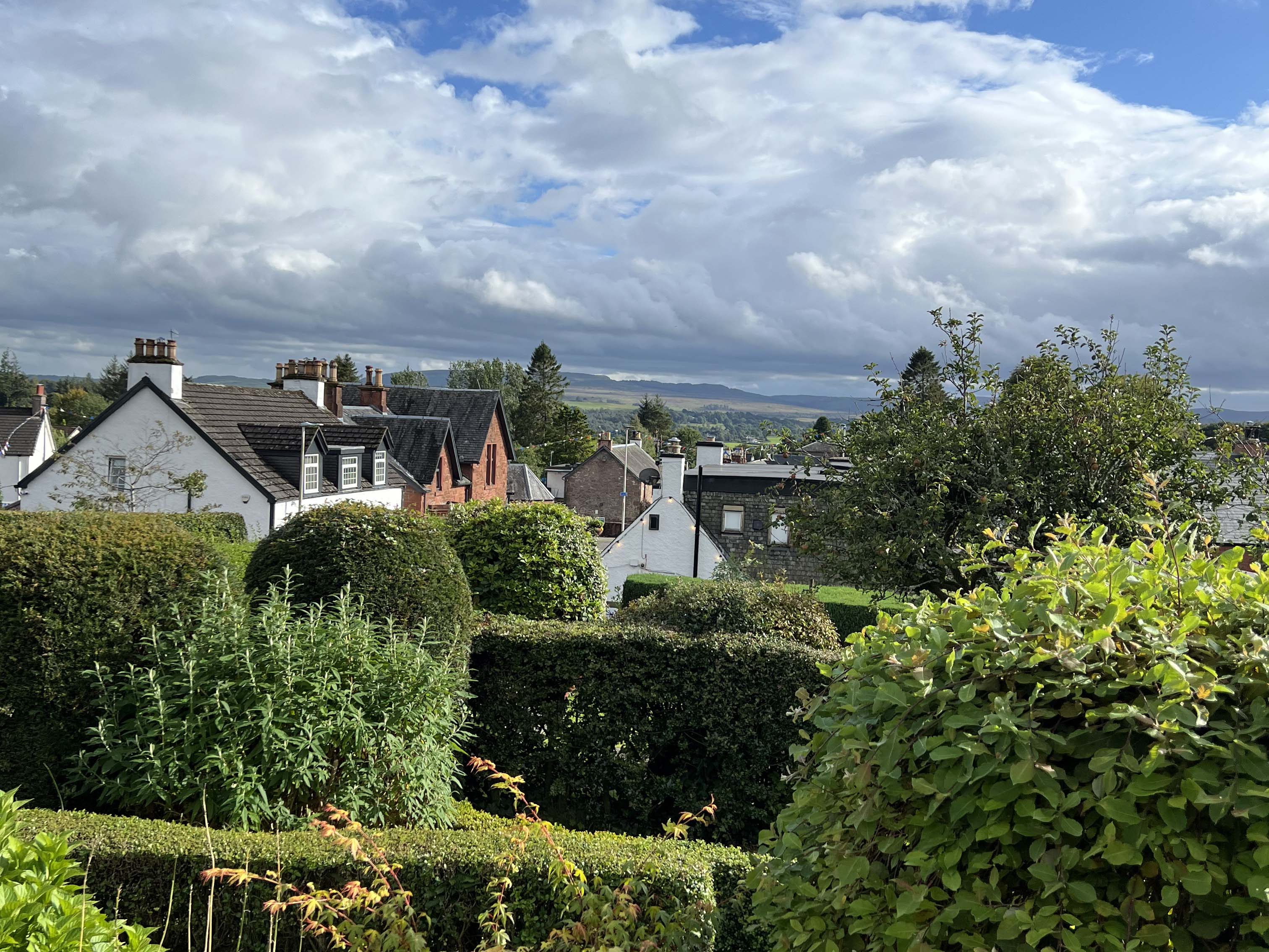 a view of town beyond a garden